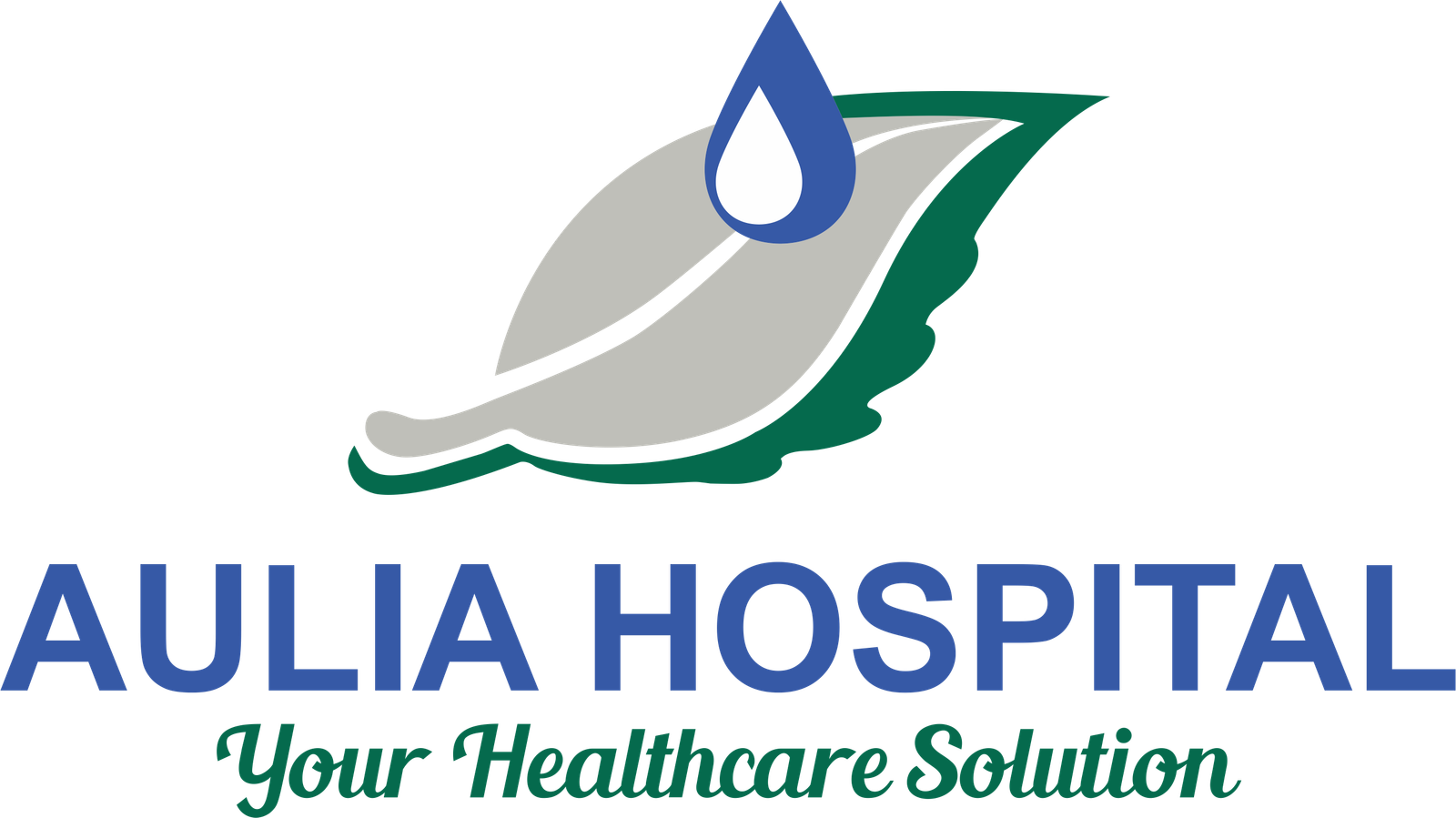 Aulia Hospital